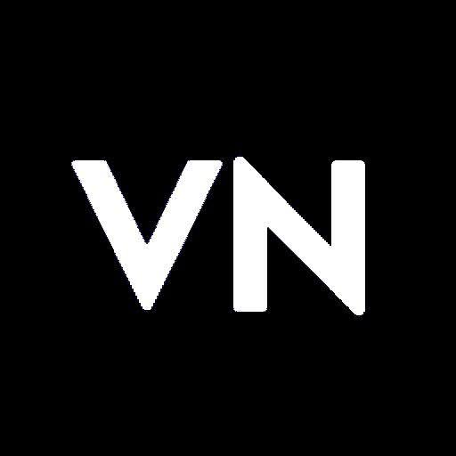 vn edi icon